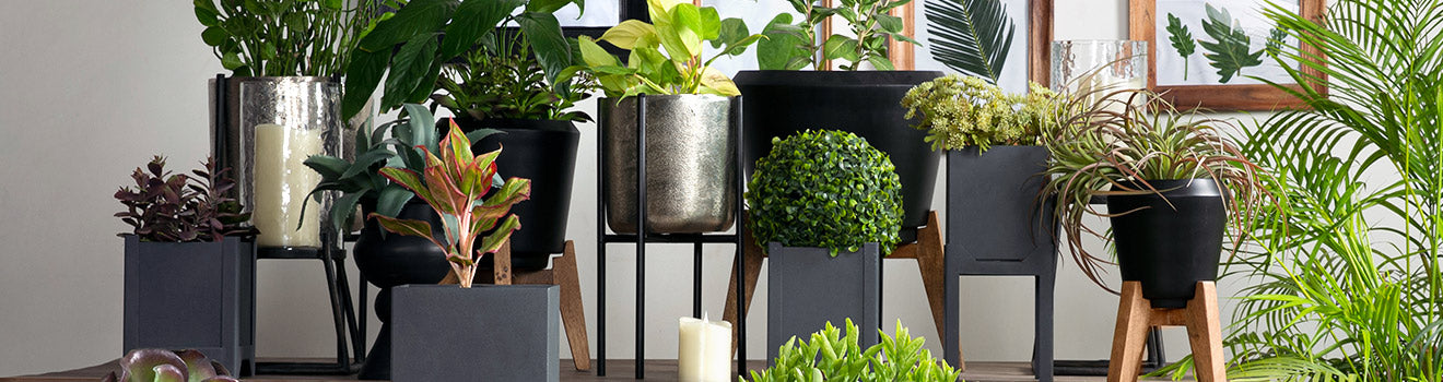 Planters